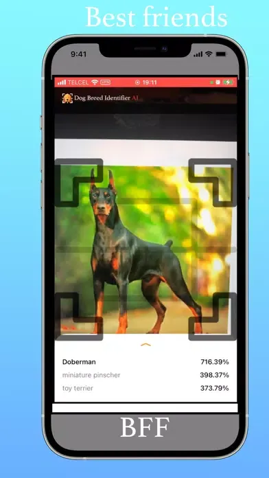 Dog Breed Identifier AI Screenshots